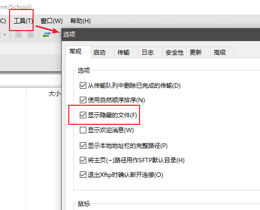 XFTP6显示隐藏文件