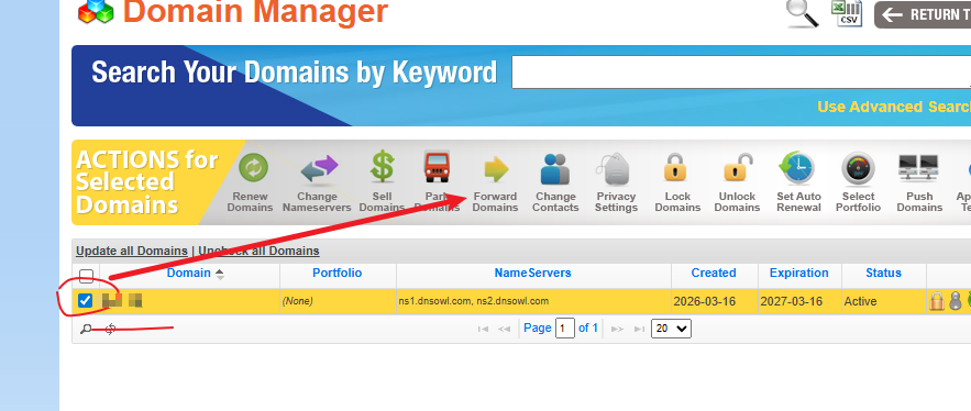 namesilo选择forward Domains