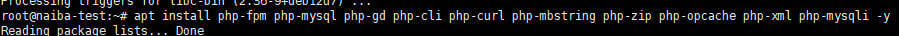 apt install php-fpm php-mysql php-gd php-cli php-curl php-mbstring php-zip php-opcache php-xml php-mysqli -y