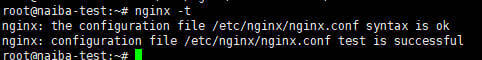 nginx -t