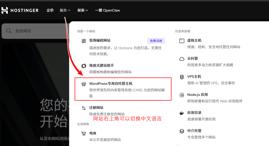 Hostinger 官网和 hPanel 界面示意